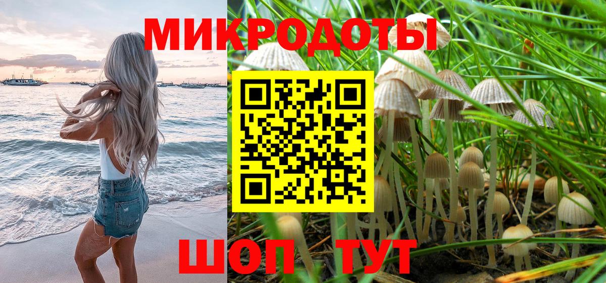 Псилоцибиновые грибы GOLDEN TEACHER  Вход с VPN  Горно-Алтайск 